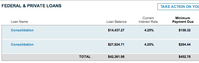 January 2013 Sallie Mae Update.